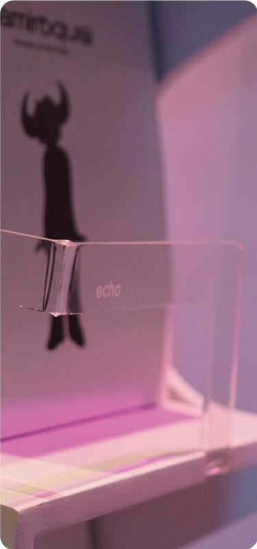 Echo-slide-2